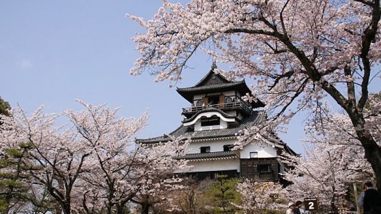 Kastil Inuyama (Japan Guide)