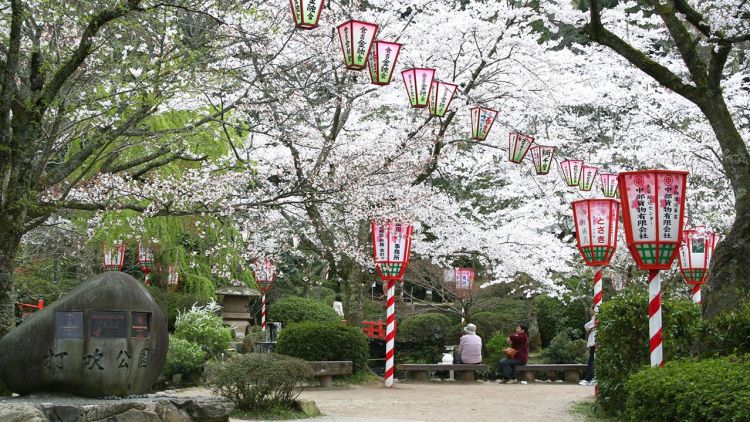 Taman Utsubuki, salah satu spot terbaik melihat sakura di Jepang (Nippon). Taman Utsubuki, salah satu spot terbaik melihat sakura di Jepang (Nippon).