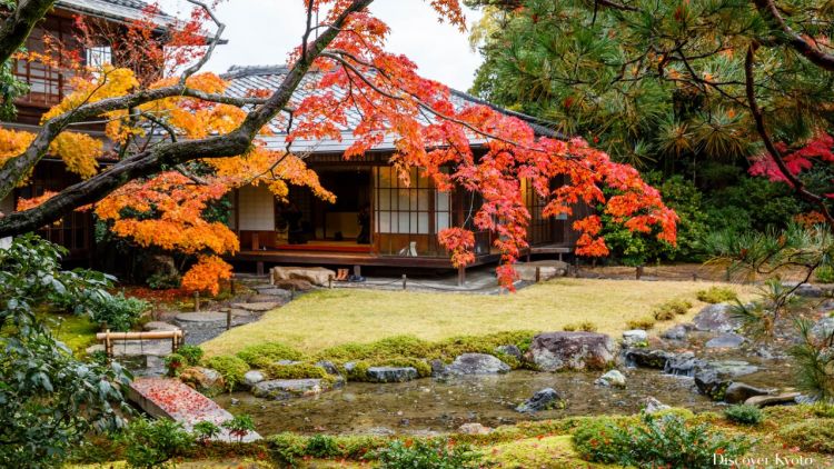 Private Villa yang Berdiri di Murin-An (Discover Kyoto/NIWAKA Corporation) Private Villa yang Berdiri di Murin-An (Discover Kyoto/NIWAKA Corporation)