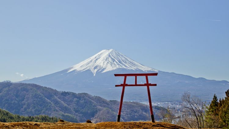 Tenku no Tori, Gerbang tori yang ikonik di Kawaguchi Asama Shrine ( Kawaguchiko.net)