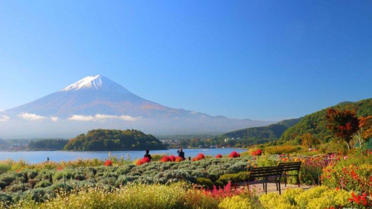 Pemandangan Gunung Fuji dari Oishi Park (ZEKKEI Japan). Pemandangan Gunung Fuji dari Oishi Park (ZEKKEI Japan).