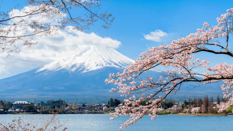 Pemandangan Gunung Fuji dan Danau Kawaguchiko di musim semi (The Gate). Pemandangan Gunung Fuji dan Danau Kawaguchiko di musim semi (The Gate).