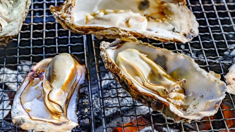 Kuliner laut jadi salah satu unggulan Prefektur Tokushima (GaijinPot Travel).