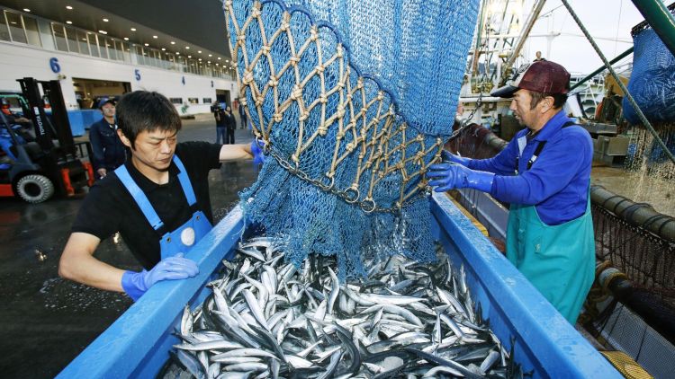 Ilustrasi nelayan Jepang (Nikkei Asia).