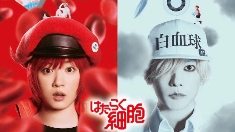 Visual teaser Cells at Work (Natalie Comic).