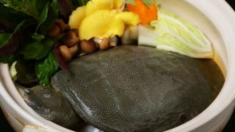 Suppon Nabe Biasa dimakan Oleh Orang Jepang Saat Musim Dingin (Website/Savor Japan)