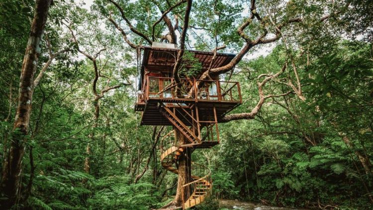 Suasana asri di Treeful Treehouse Okinawa (Treeful via CNN).