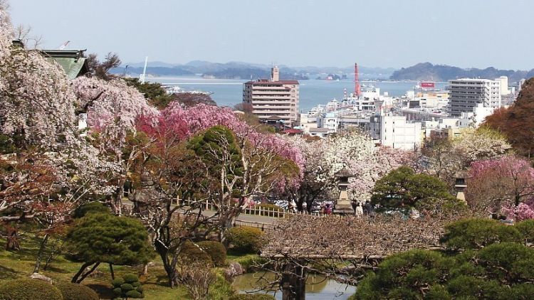 Keindahan Kota Pelabuhan Shiogama (Japan Guide). Keindahan Kota Pelabuhan Shiogama (Japan Guide).