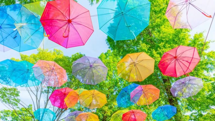 Umbrella sky project (matcha-jp) Umbrella sky project (matcha-jp)