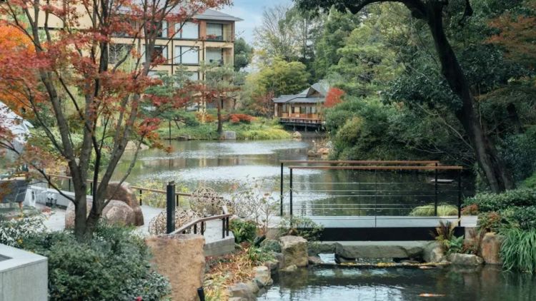 Pemandangan kolam di Four Seasons Hotel Kyoto (Forbes).