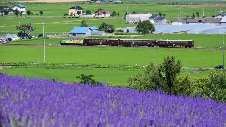 Furano Biei Norokko Train Furano Biei Norokko Train