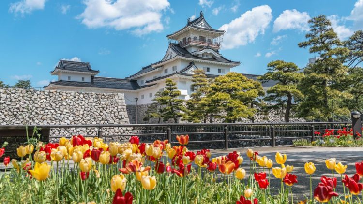 Salah satu spot pemandangan di Toyama Castle Park (Visit Toyama). Salah satu spot pemandangan di Toyama Castle Park (Visit Toyama).