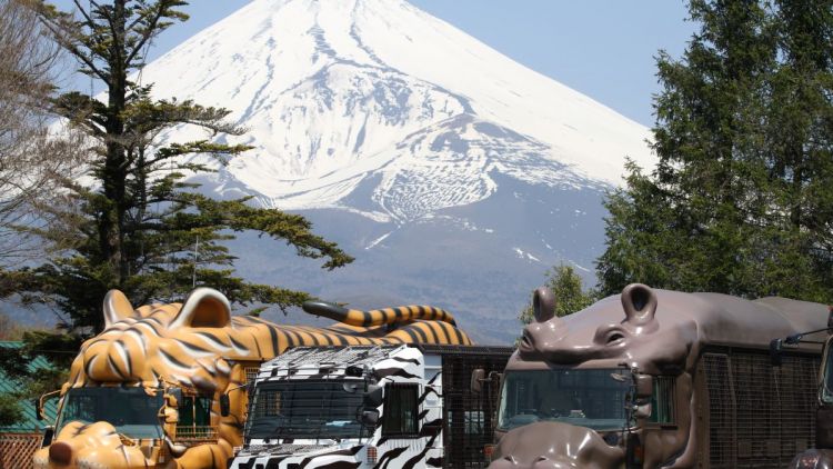 Fuji Safari Park dengan pemandangan Gunung Fuji (Official Fuji Safari Park Web) Fuji Safari Park dengan pemandangan Gunung Fuji (Official Fuji Safari Park Web)