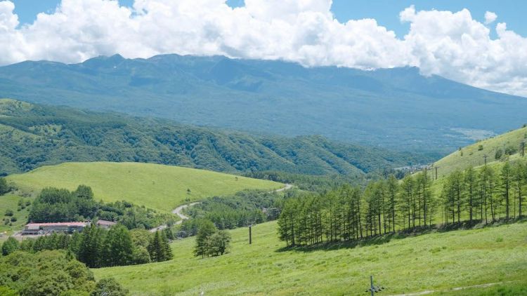 Kurumayama, dataran tinggi padang rumput di atas awan (Ikidane Nippon) 5 Wisata Alam yang Menakjubkan di Kota Chino, Prefektur Nagano (kurumayama)