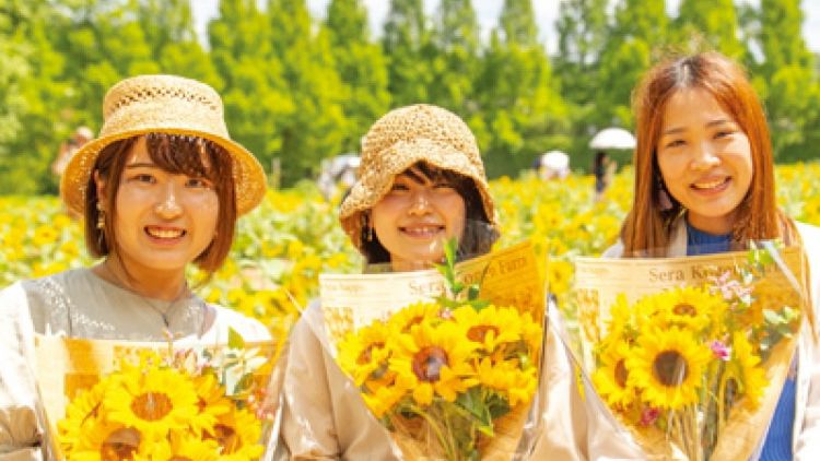 Gadis-gadis Jepang berfoto sambil memegang bunga Matahari Festival Bunga Matahari bulan Agustus 2024 di jepang