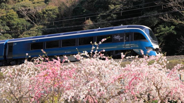 Kereta wisata Saphir Odoriko yang melaju saat musim semi.