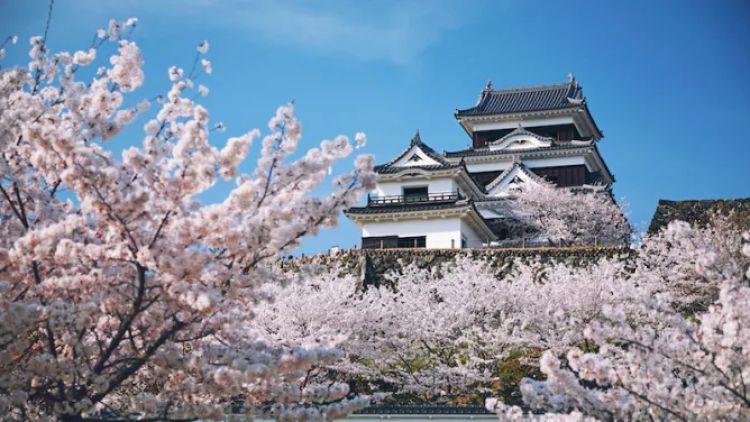 Istana Ozu yang dibangun dengan gaya tradisional Jepang (JNTO). Istana Ozu yang dibangun dengan gaya tradisional Jepang (JNTO).