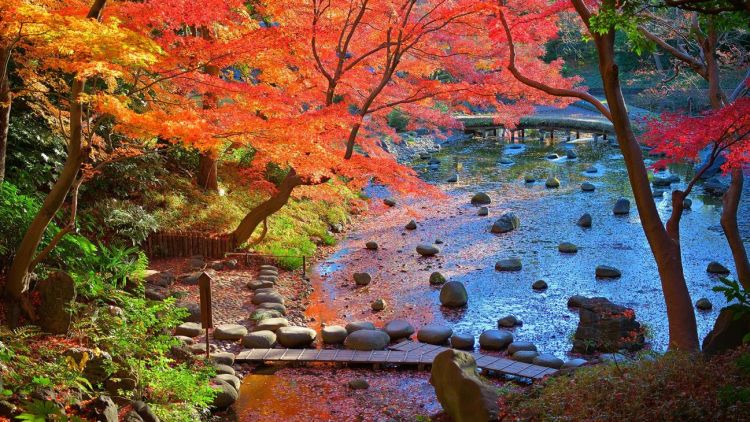 Pemandangan musim gugur di Koishikawa Korakuen Gardens Tokyo (Rakuten Travel) Pemandangan musim gugur di Koishikawa Korakuen Gardens Tokyo (Rakuten Travel)