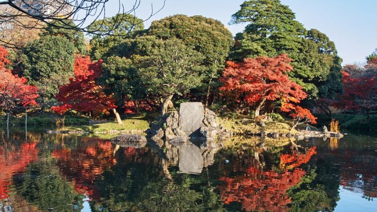 5 taman terindah melihat musim gugur di Tokyo