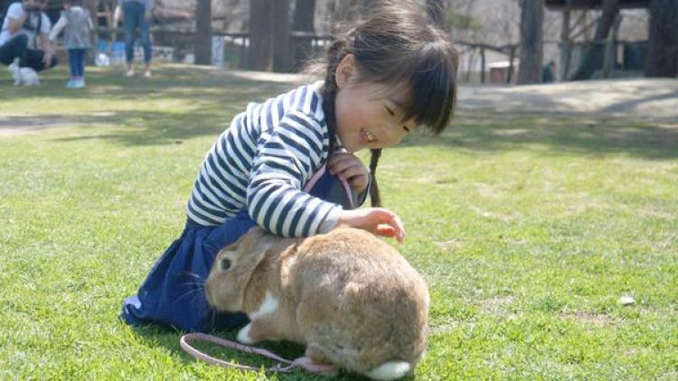 Minamigaoka Dairy, peternakan sapi yang bisa dinikmati oleh semua kalangan