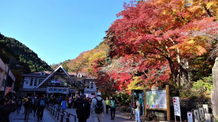 Warna-warni musim gugur di Gunung Takao (Japan Travel).