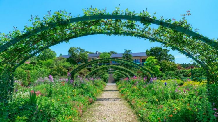 Monet's Garden Marmottan di Kitagawa. Monet's Garden Marmottan di Kitagawa.