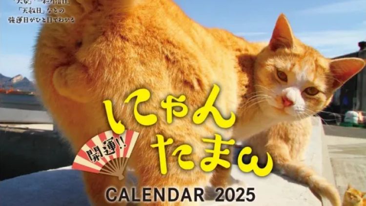 Kalender Nyantama yang siap menemani hari-harimu tahun depan. Kalender Nyantama yang siap menemani hari-harimu tahun depan.
