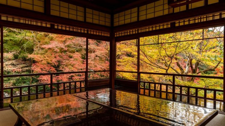 Pemandangan musim gugur di Rurikoin (Discover Kyoto) lokasi terbaik untuk melihat dedaunan musim gugur di Kyoto