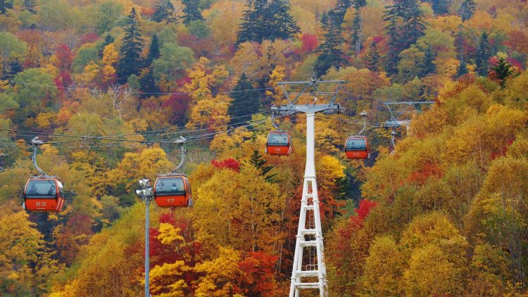 tempat di hokkaido dengan pemandangan musim gugur terbaik