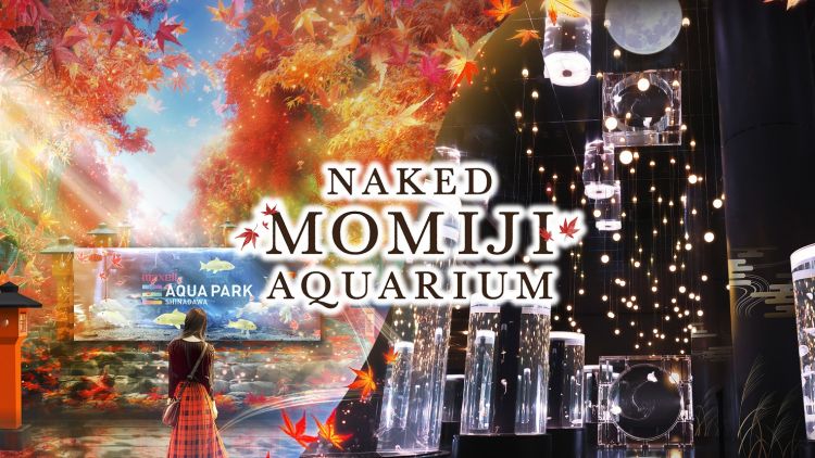 Naked Momiji Aquarium