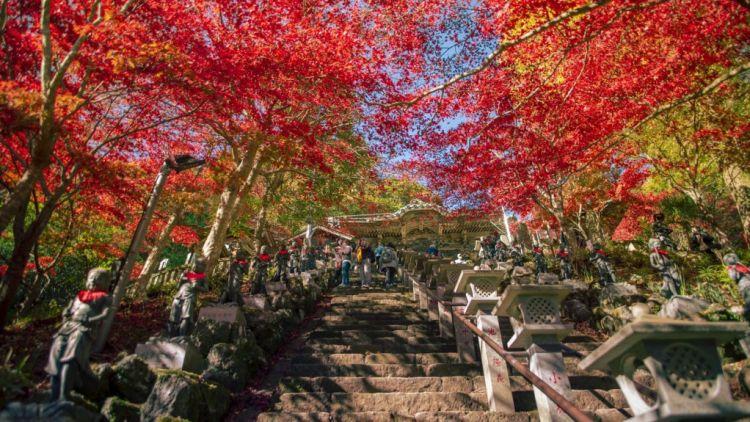 Pemandangan momiji di Gunung Oyama (Odakyu Railways) Pemandangan musim gugur terbaik di Kanagawa