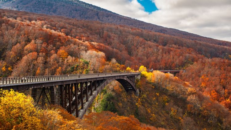 Jembatan Jogakura Ohashi di musim gugur (Amazing Aomori) Jembatan Jogakura Ohashi di musim gugur (Amazing Aomori)