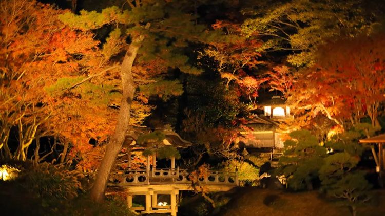 Festival Iluminasi di Taman Sankeien