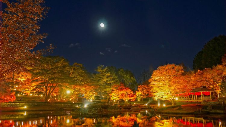 Shuzenji Niji no Sato Autumn Light Up (Hyakkei) Shuzenji Niji no Sato Autumn Light Up
