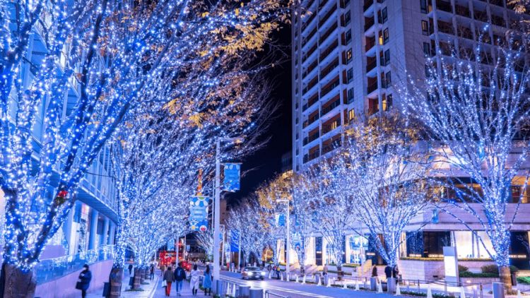 Jalan Keyakizaka yang diterangi oleh lampu-lampu LED di malam hari (Enjoy Tokyo) Jalan Keyakizaka yang diterangi oleh lampu-lampu LED di malam hari