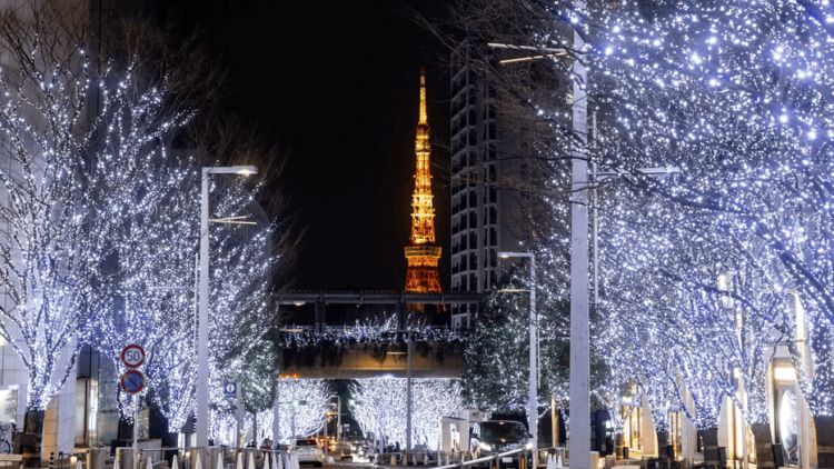 Roppongi Hills Winter Illumination (Enjoy Tokyo) Roppongi Hills Winter Illumination (Enjoy Tokyo)
