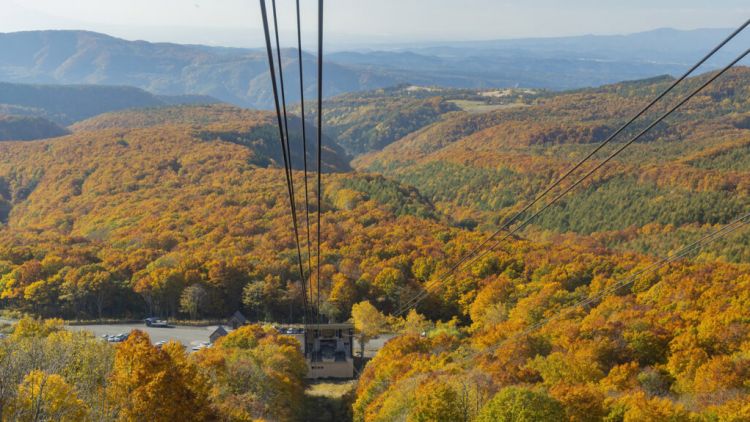 Jogakura Bridge Jogakura Bridge