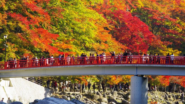 Korankei Momiji Matsuri