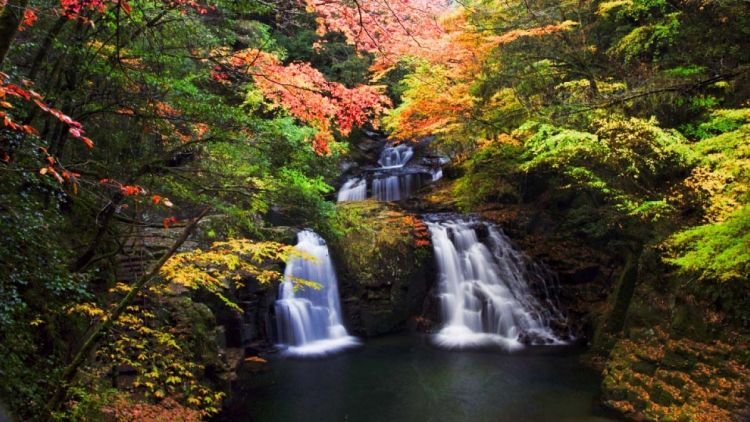 Spot musim gugur Chubu