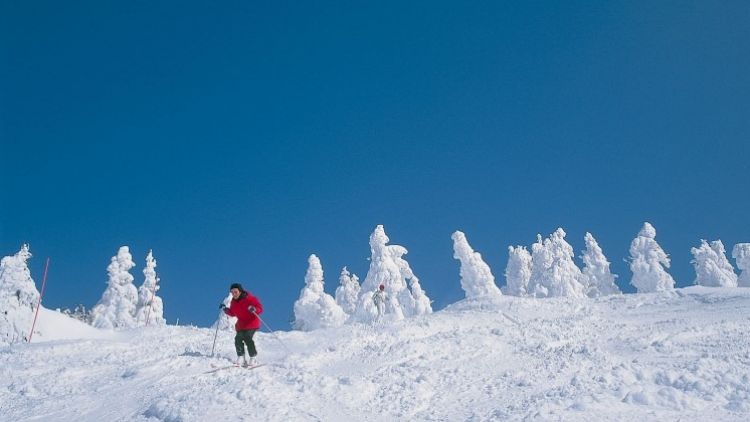 Wisata Prefektur Aomori