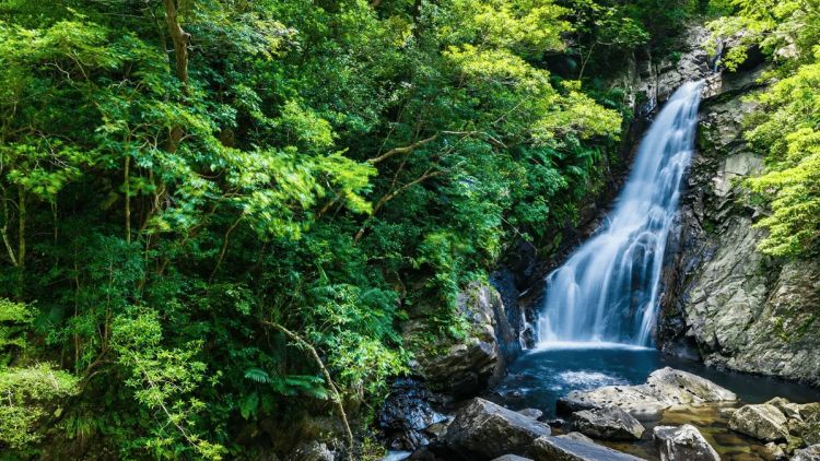 Wisata alam situs warisan dunia