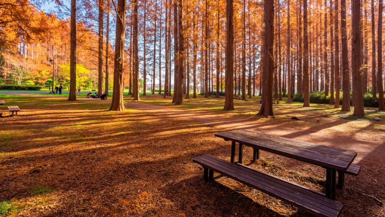 Mizumoto Park taman di Tokyo