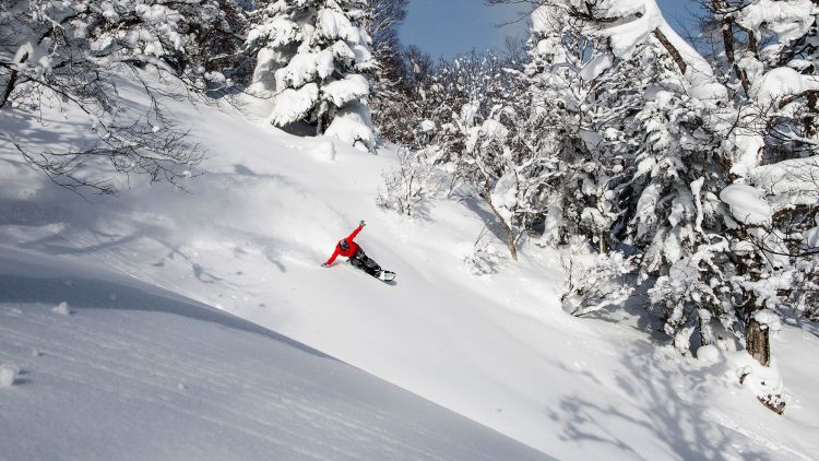 Appi Kogen Ski Resort Appi Kogen Ski Resort