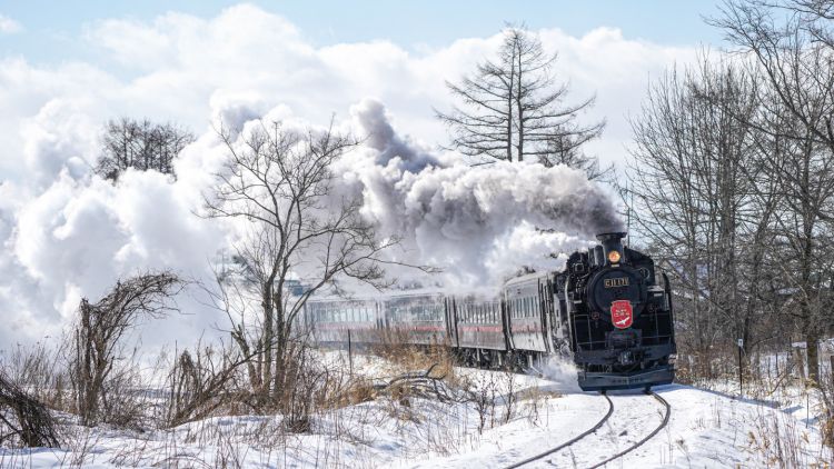 SL Fuyu no Shitsugen melintasi dataran bersalju di Hokkaido
