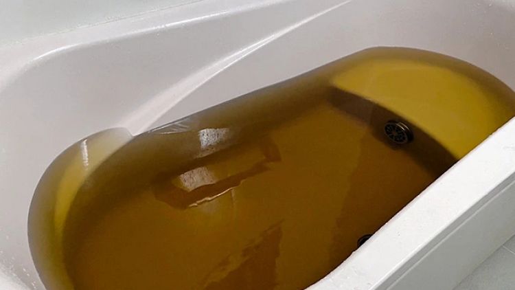 Sanuki Udon no Kaori Yu (Asahi Shimbun)