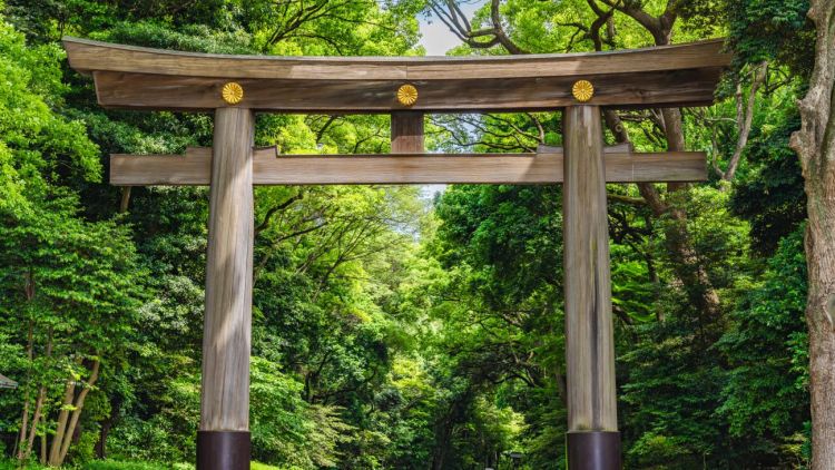 Gerbang torii yang menjulang tinggi di Meiji Jingu Gerbang torii yang menjulang tinggi di Meiji Jingu