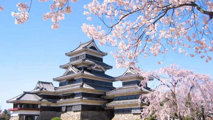 Pemandangan Kastil Matsumoto di musim semi
