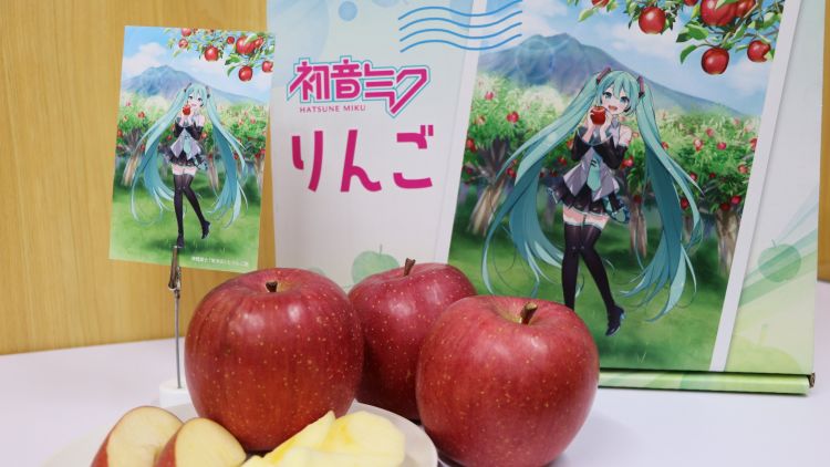 Paket yang berisikan apel Fuji dan photocard Hatsune Miku