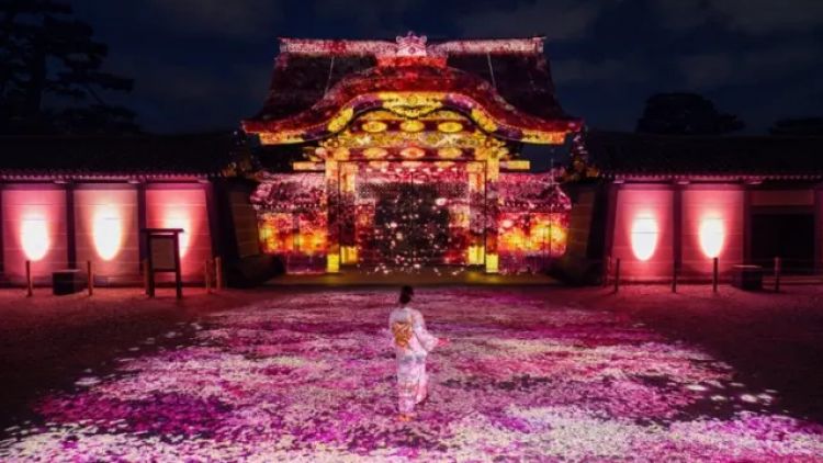 Naked Meets Nijo-jo 2025 Sakura Naked Meets Nijo-jo 2025 Sakura