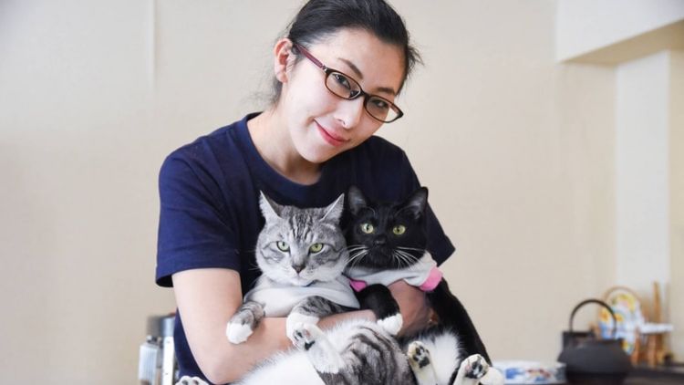 Menginap bersama kucing di hotel di jepang Menginap bersama kucing di hotel di jepang